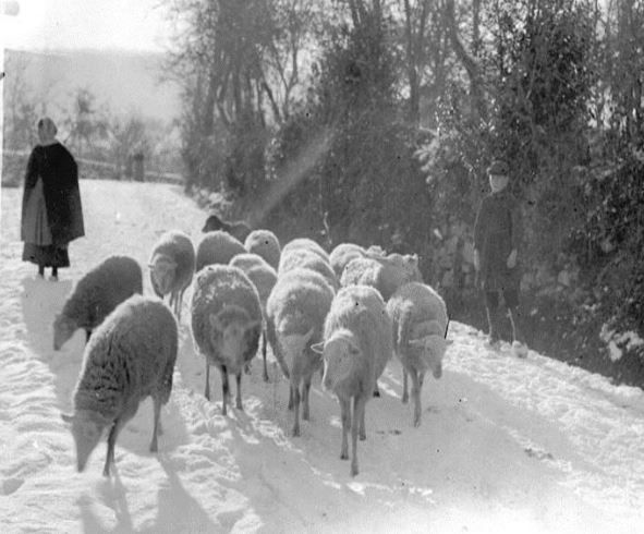 Document du mois de décembre : "Paysages creusois sous la neige"